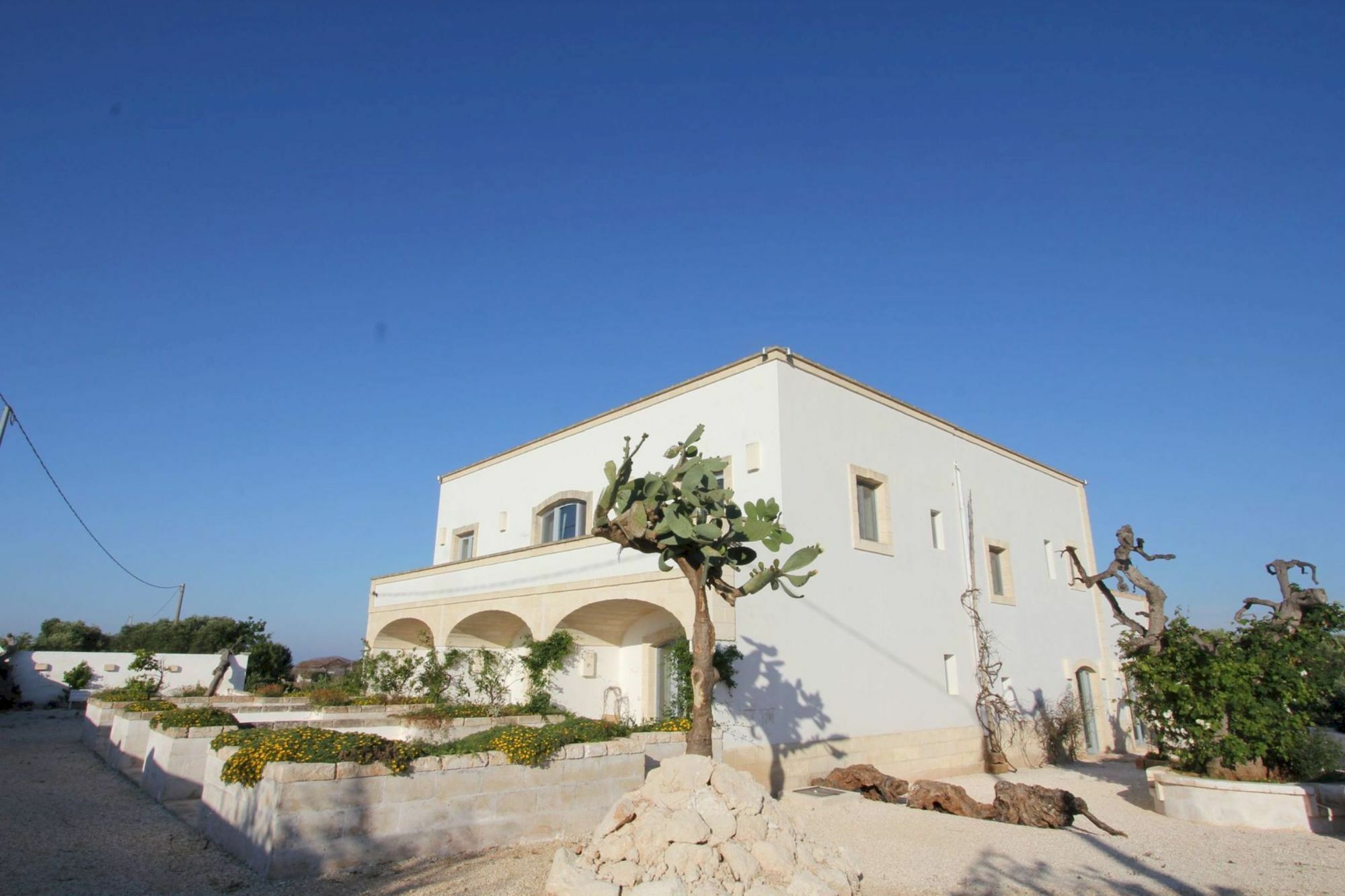 Masseria Lama Di Coccaro Savelletri Exterior foto